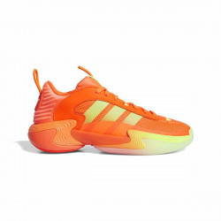 Zapatillas de Baloncesto...
