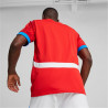Camiseta de Manga Corta Hombre Puma Repúplica Checa 2024
