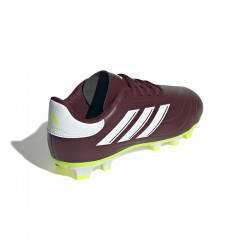 Botas de Fútbol para Adultos Adidas Copa Pure 2 Club Fxg Marrón
