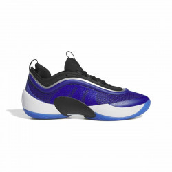 Zapatillas de Baloncesto...