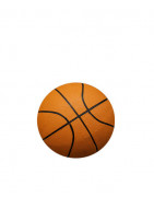 Balones de baloncesto